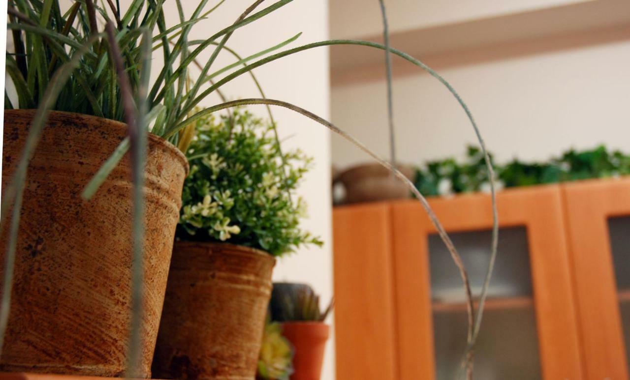 Acropolis, Urban Lifestyle Apartment Atenas Exterior foto